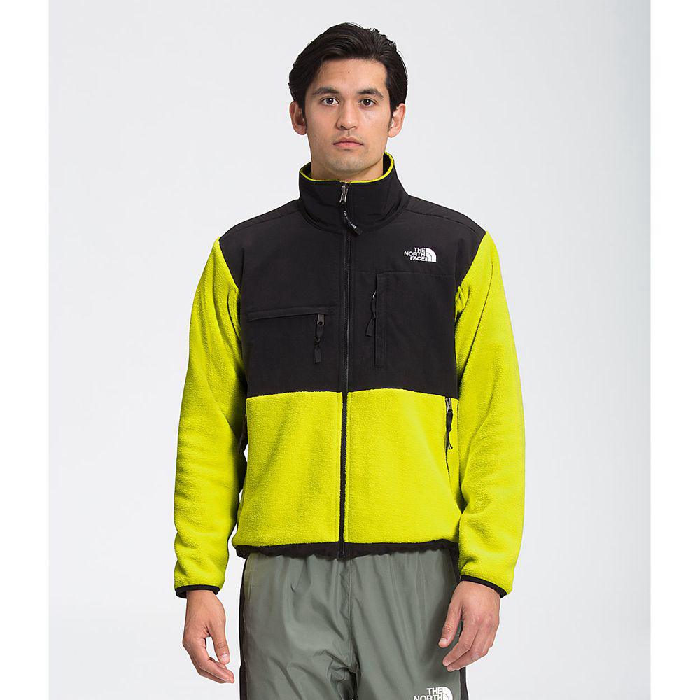 The North Face ’95 Retro Denali Ανδρικα Μπουφάν Fleece - Πρασινο (HUGL69024)